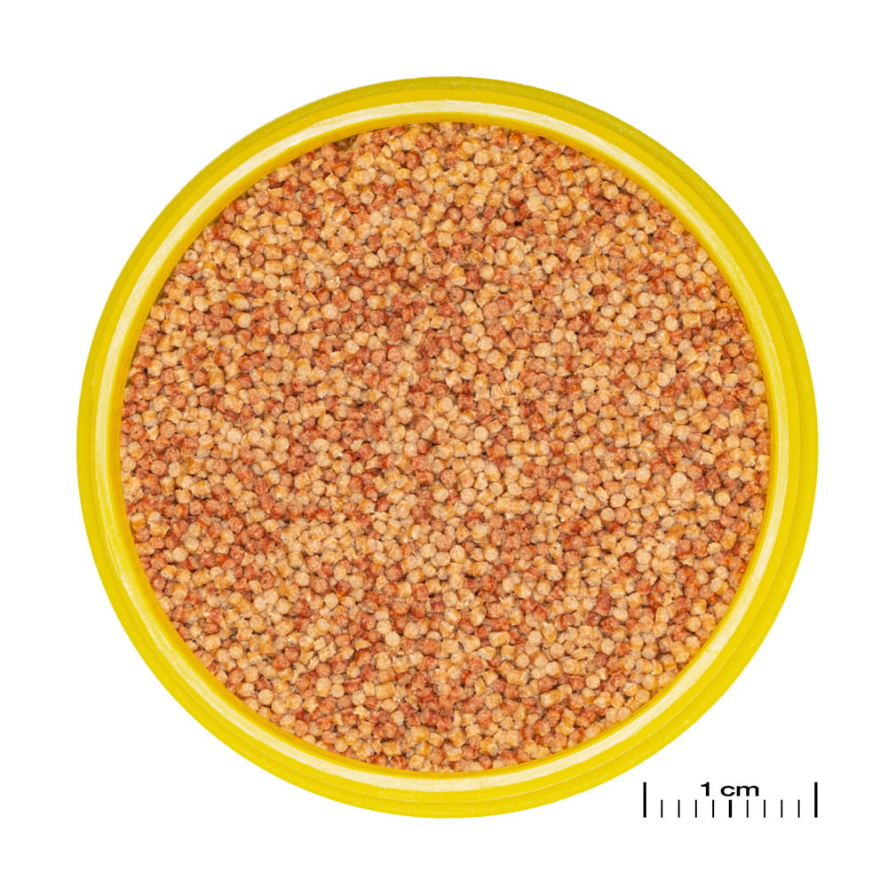 colos s2.jpg
